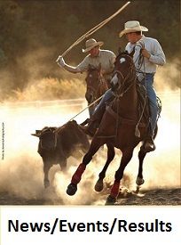 american team roping ass American team roping ass