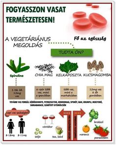 sobiologia protein, mint a fogyáshoz