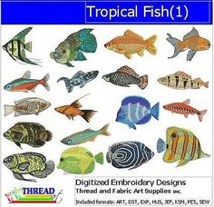 8 Embroidery Tropical Fish Ideas Tropical Fish Tropical Fish