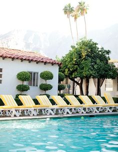 Palm Springs Style Interiors Images The Saguaro In A Viceroy Palm Springs Hotel
