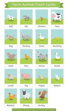 Inventive image throughout printable animal flash cards Slobbery image in printable animal flash cards