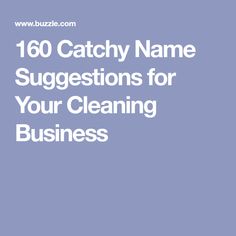 clever cleaning service names