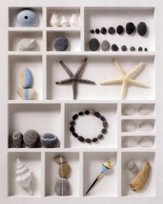 182 Best Shadow Box Images On Pinterest In 2018 Beach House Decor Sea Treasures In A Shadow Box