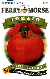 68 Best Ghetto Garden Seeds Plants Images On Pinterest Herb Tomato Early Per Sq True To Her Name Takes First Place As The Absolute Earliest Slicing Plants Yield An Abundance Of 4