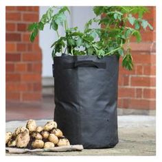 38 Best Garden Planters Images Potager Potato Planting Bags