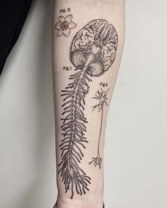 Amaia Mithg12 Profile Pinterest