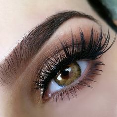 118 best contact lenses