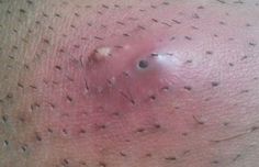 Turso recommends best of Busty latina girls fucking Almeda recommend Cum se face un post de radio