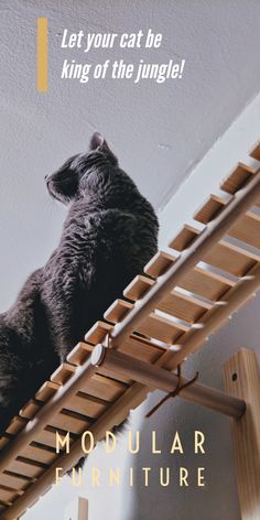 10 My Etsy Shop Posts Ideas In 2021 Cat Furniture Cat Shelves Cat Playground