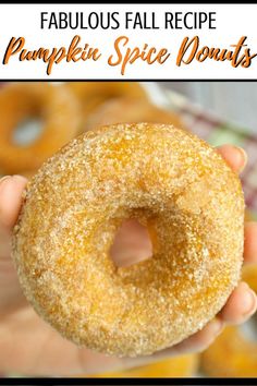 357 best donut love