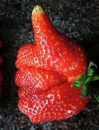 Sexo bizarro com mulher cagando Fruta que parece bunda
