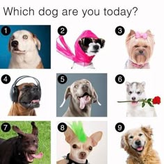 31 School How Are You Feeling Slides Ideas In 21 How Are You Feeling Social Emotional In Memes 31 School How Are You Feeling Slides Ideas In 21 How Are You Feeling Social Emotional In Memes