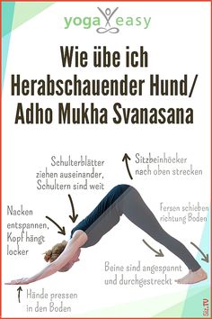 Medizinische Rüsselkäfer zur Gewichtsreduktion