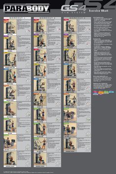 weider pro 6900 exercise chart healthy life exercise home gym exercise chart