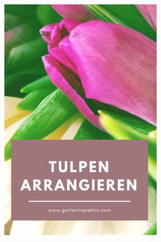Die 30+ besten Bilder zu Tapeten in 2020 | tapeten, grüne Die 30+ besten Bilder zu Tapeten in 2020 | tapeten, grüne