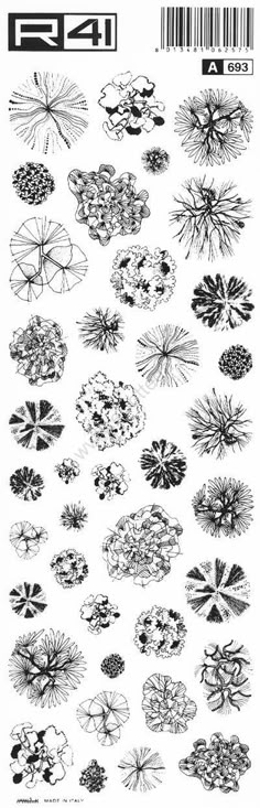 Landscape Architecture Drawing Symbols architecture tree symbols - google search | arquitetura Landscape Architecture Drawing Symbols architecture tree symbols - google search | arquitetura