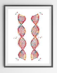 dna helix conformation print a form b form and z form dna anatomy b form dna
