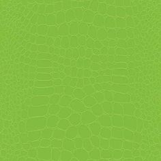 500 yd The Gift Wrap Company 19068AMZ-05 Bakers Twisted Twine Black//White