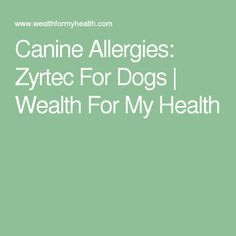 Can You Give Zyrtec To Dogs For Allergies Zyrtec For Your English Bulldog With Allergies Zyrtec Nuvet Plus For Allergy Dogs Dog Allergies Bulldog Puppies Bulldog Breeds