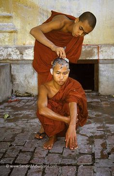Best Monks Images Buddha Buddhism Buddhist Monk A Monk Shaves Another Monks Head In Myanmar Dalai Lama Buddhist Monk Terrorism Essay
