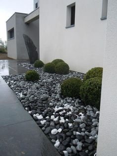 elevated garden beds on legs wheelchair accessibility entree contemporaine avec menhir en ardoise 76 best garden and animals images on pinterest in 2018 giardini elevated garden beds on legs wheelchair accessibility entree contemporaine avec menhir en ardoise 76 best garden and animals images on pinterest in 2018 giardini