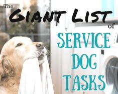 Training Your Own Psychiatric Service Dog Pdf Training Your Own Psychiatric Service Dog Pdf