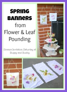 165 best botany science projects images on pinterest in 2018