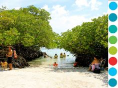 Eagle Beach Aruba Coastalliving View Of The Day Pinterest 10 Things To Do In Aruba Onehyisland