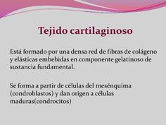 próstata epilobica próstata epilobica