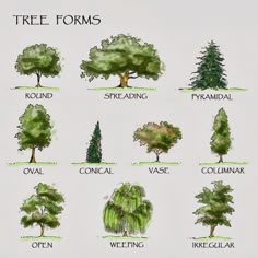 Architecture Drawing Trees tree symbol in plan- drawing | symbols, landscaping and plan drawing Architecture Drawing Trees tree symbol in plan- drawing | symbols, landscaping and plan drawing