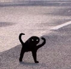 19 Weird Random Things Ideas In 2021 Mood Pics Haha Funny Funny Pictures
