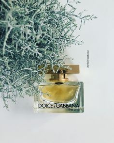 12 beste afbeeldingen van Fragrance & Art Geur, Roos en 12 beste afbeeldingen van Fragrance & Art Geur, Roos en
