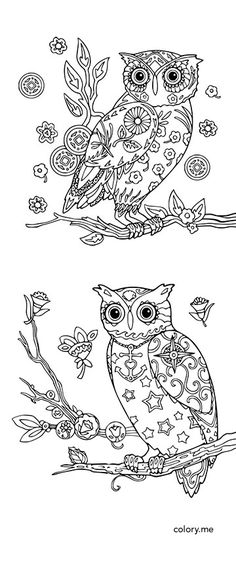 Adult Coloring Page From Colory App 300 Pages Are Available For Lovers