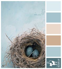 50 Best Colour Trend Duck Egg Images Sweet Home Bed Room Bedrooms Robins Nest Blue Pastel Steel Beige Brown Coffee Teal Designcat Colour Inspiration Board