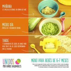 recetas de comidas para bebés de 9 meses utilisima