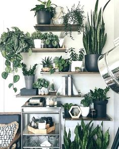 899 Best Artificial Plants Decor Yards Images 899 Best Artificial Plants Decor Yards