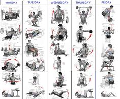 72 best bodybuilding images