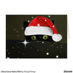 Lucy cat sushi Lucy cat sushi
