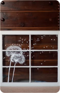 385 best windows images