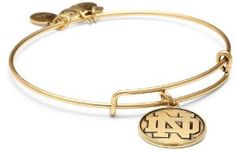 CustomCharms Nebraska State Expandable Wire Charm Bracelet Bangle w//Blue Color Crystals