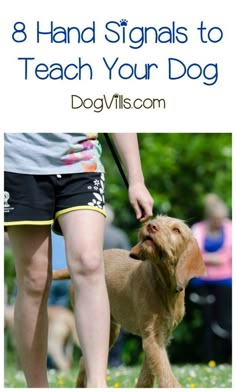 Check out 8 of our favorite handy hand signals to teach your dog! They'll really improve your communication & training technique! Golden Retrievers