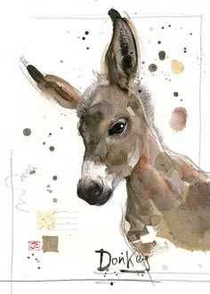 116 best watercolor animals