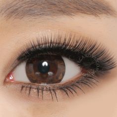 1781 best color contacts