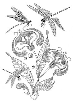 creative haven entangled dragonflies coloring book creative haven