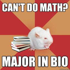 what can i do with a math major