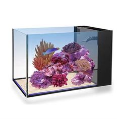 59 best saltwater aquarium