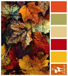 Los Que Me Leéis Asiduamente Ya Sabéis Lo Gusta Cambiar Las Autumn Leaves Orange Beige Sand Berry Red Golden Yellow