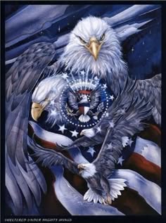 900 Eagles Ideas In 2021 Eagles Bald Eagle Eagle Pictures