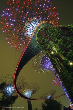 Garden By The Bay Fireworks gardensthe bay, singapore | singapore and beautiful places Garden By The Bay Fireworks gardensthe bay, singapore | singapore and beautiful places