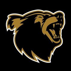80 best grizzlies bears